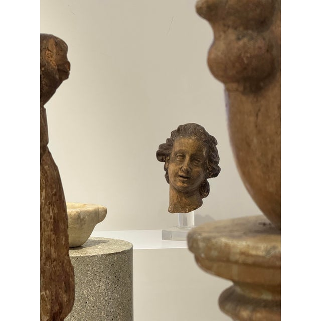 Genovese Artist, Sculpture Depicting the Head of an Angel, 17th Century, Wood For Sale - Image 17 of 18