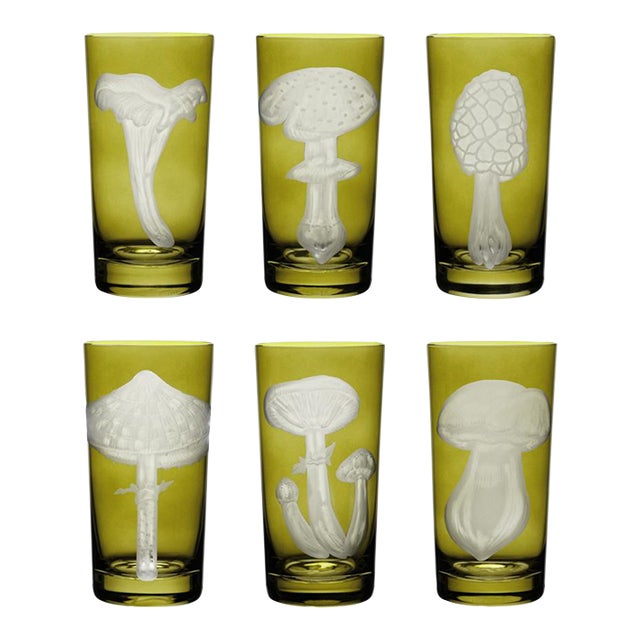 ARTEL Mushrooms Collection Highball in Olive - Set of 6 For Sale