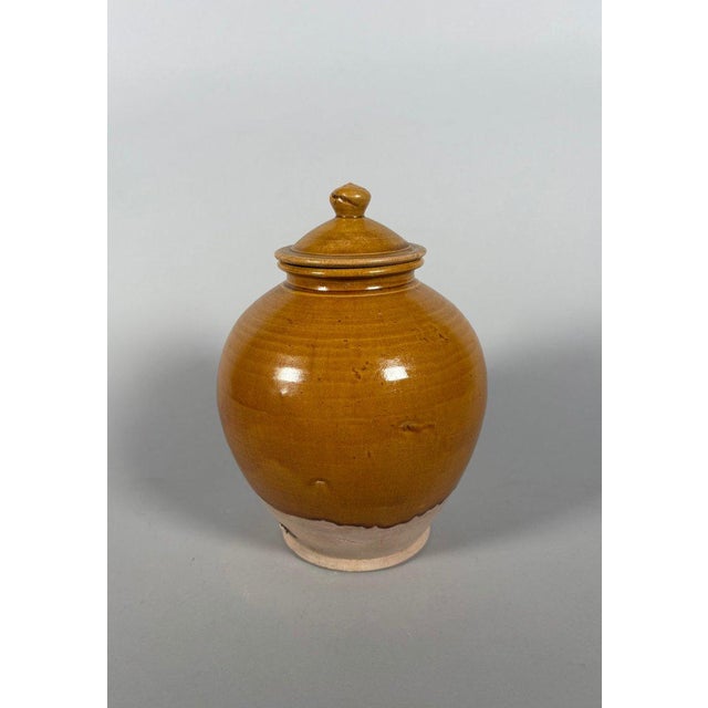 A covered terracotta vase with an amber glaze, Tang Dynasty (618-907). The upper part, covered with an amber glaze,...