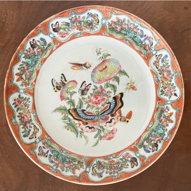 Early 19th Century Antique Early 19th Century Chinese Export Porcelain Plate With Rose Medallion Decoration of Butterflies and Insects For Sale - Image 5 of 10