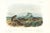 1854 Audubon Quadruped Octavo Lithograph "Plate 144 Townsend's Arvicola" For Sale