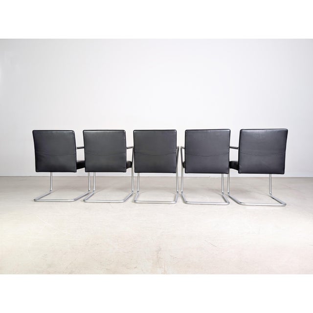 Jason Lite 1500 Chairs in Black Leather from Walter Knoll, Set of 5 For Sale - Image 5 of 11