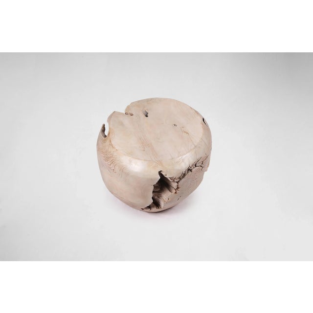 Bleached White Teak Root Accent or Side Table or Stool 29 For Sale - Image 4 of 6