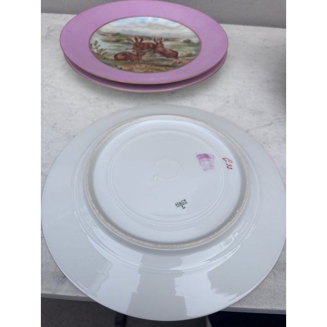 Rare French Porcelain Set of 8 Wild Animals Plates Haviland Limoges Circa 1890 For Sale - Image 12 of 12