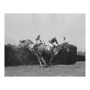1944 Belmont Steeplechase Equestrian Photograph