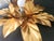 Hollywood Regency Gold-Plated Florentine Floral Wall Lamps from Hans Kögl, Italy, Florence, 1960, Set of 2 For Sale - Image 12 of 17