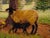 Green 2005 "Ewe and Lamb", Oil Painting on Masonite by Sandra Eames, Framed For Sale - Image 8 of 12