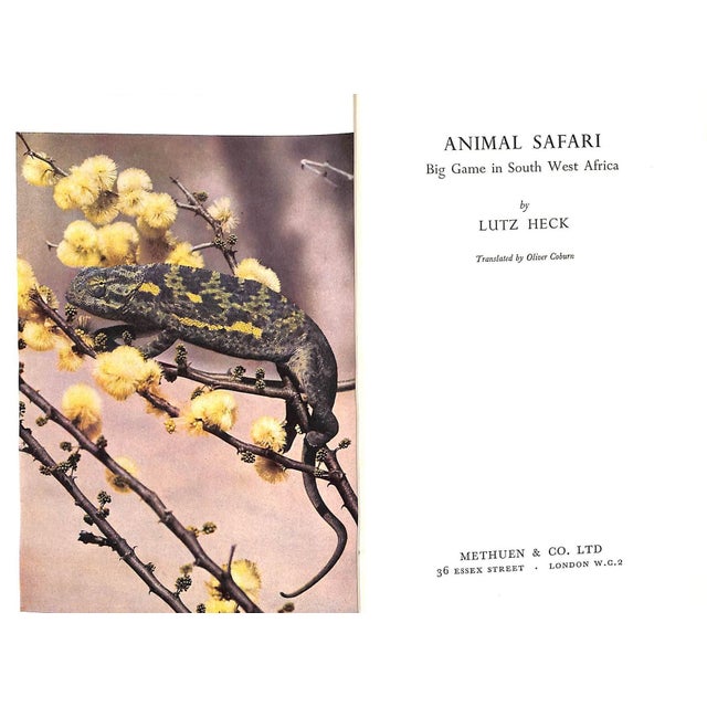 "Animal Safari: Big Game in South West Africa" 1956 Heck, Lutz For Sale - Image 4 of 8