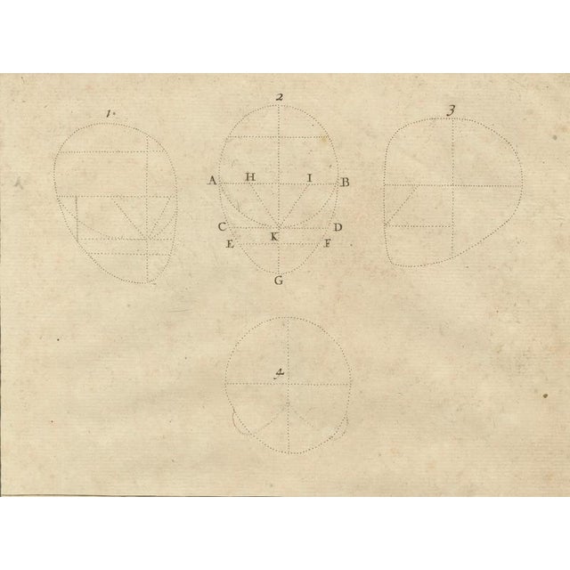 After De Lairesse, Human Skull Anatomy Plate, 1745, Paper For Sale - Image 4 of 10