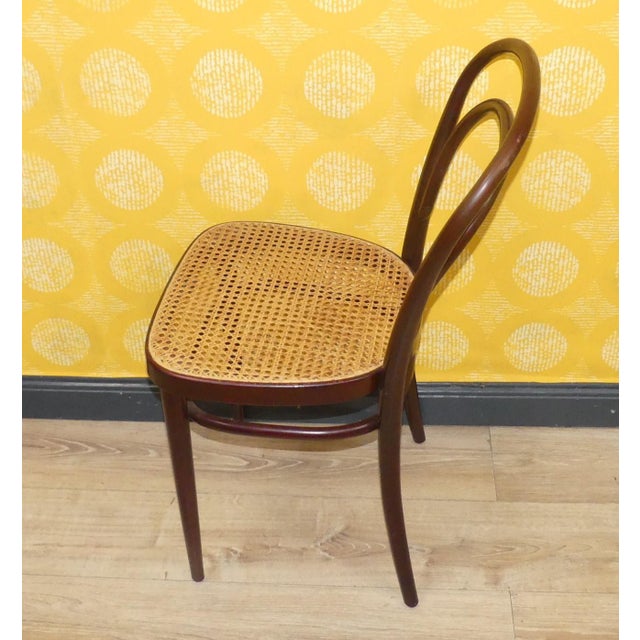 Vintage Bentwood Chairs by Michael Thonet for Thonet, 1960s, Set of 6 For Sale - Image 9 of 13