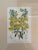 Metal Vintage Botanical Chromolithograph, Set of 3 For Sale - Image 7 of 9