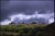 Paul Cooklin, Treeline, Edition of 50 For Sale - Image 4 of 4