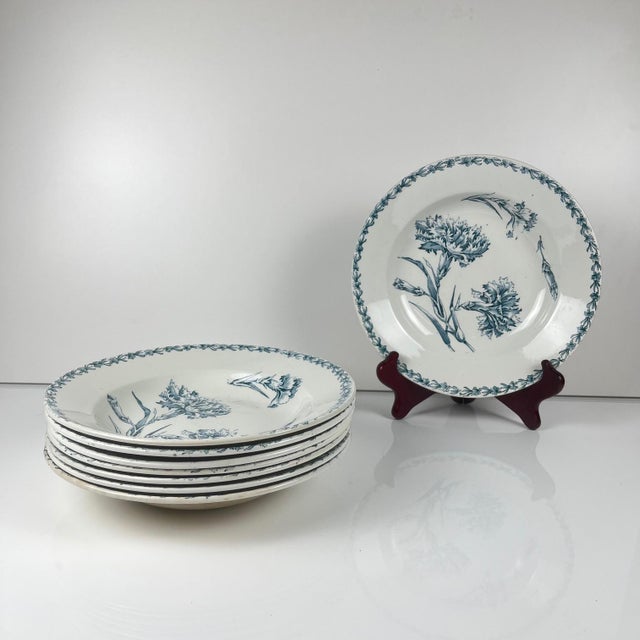 Set of 8 soup plates, "Carnation" pattern, KG Lunéville, ironstone, 19th century Blue carnation motif Diameter: 23 cm...