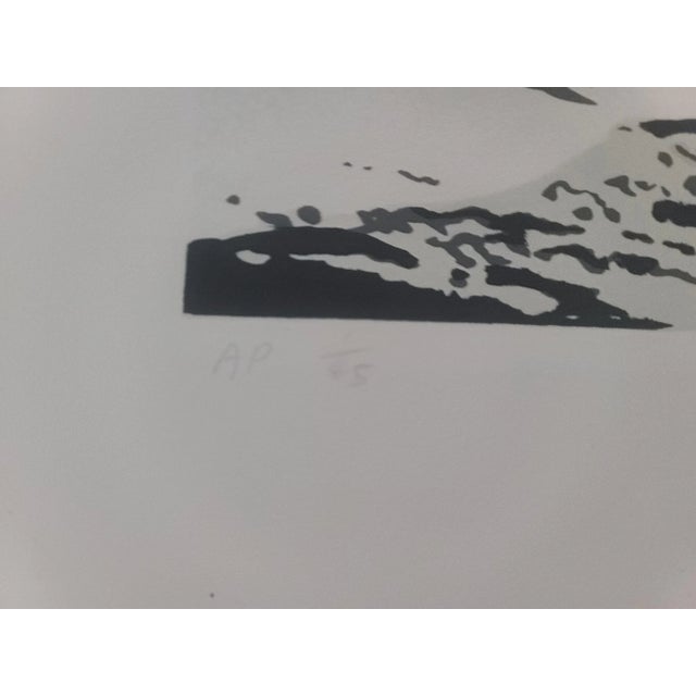1980 Jon D'Orazio, Sky Over Mountain, Lithograph, Signed and Numbered Artist Proof #1 For Sale - Image 4 of 5