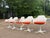 1960s Burke Tulip Table and 5 Chairs For Sale - Image 6 of 6