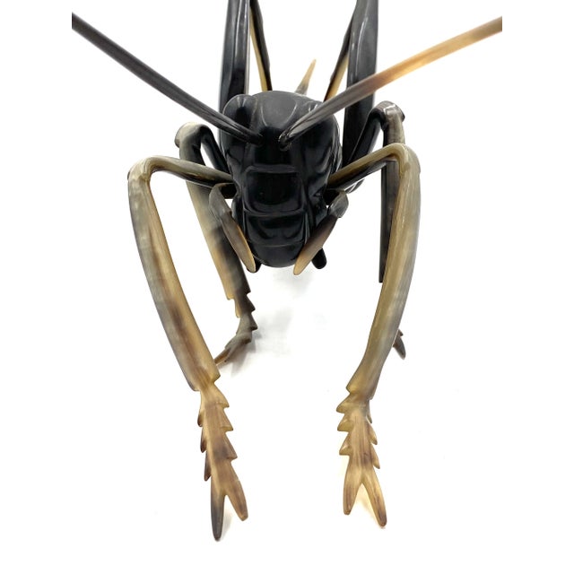 Bone Mid-Century Hand-Crafted Horn Grasshopper, France 1960s For Sale - Image 7 of 12