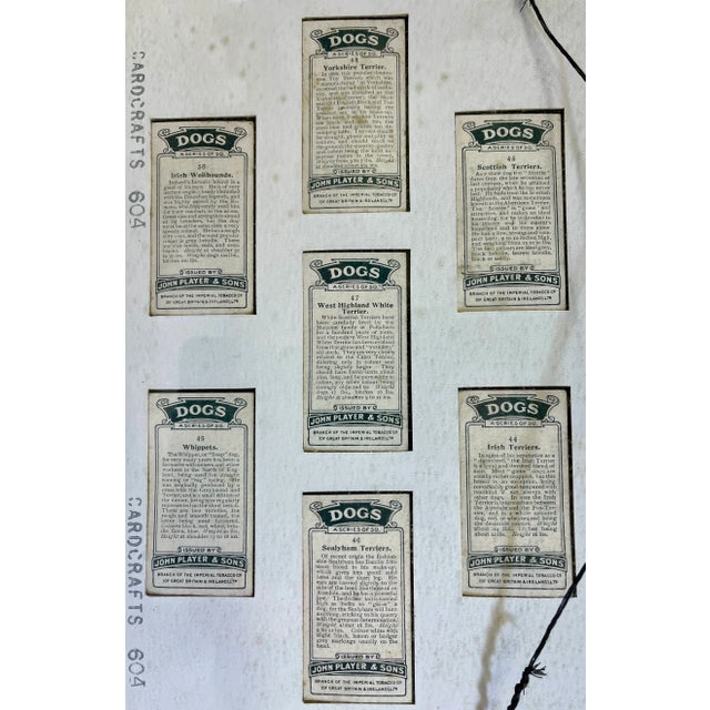 Vintage Framed Set of 7 John Player & Sons Tobacco Company Dog Cards From England - Circa 1930 For Sale - Image 10 of 10