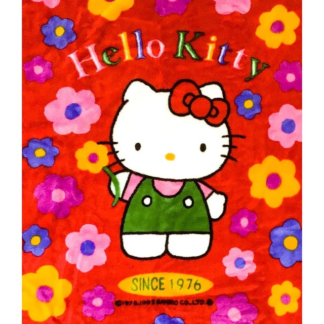 Very rare plushy blanket by Hello Kitty was purchased in Tokyo in 1993. This beauty marks the second anniversary of the...