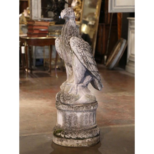 Mid 20th Century Mid Century French Cast Stone Eagle Garden Sculpture on Pedestal For Sale - Image 5 of 10