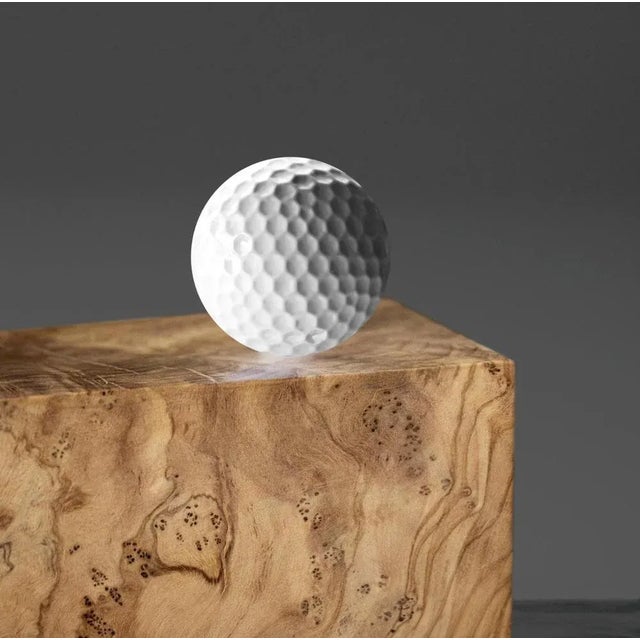 Minos Armchair by Woody Fidler For Sale - Image 9 of 11