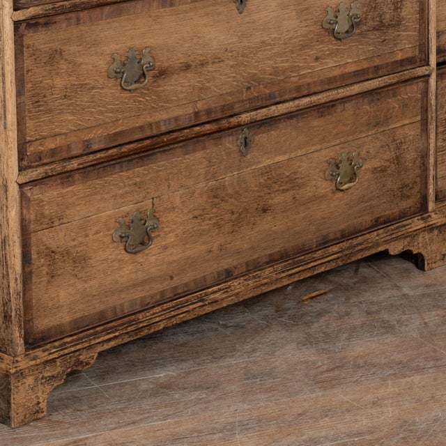 Large English Bleached Oak Bookcase Display Cabinet With Glass Doors, Circa 1900 For Sale - Image 11 of 12
