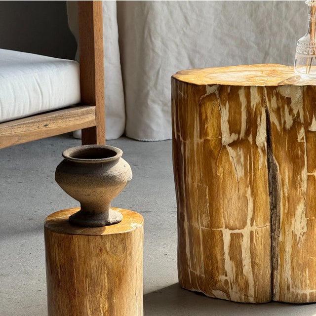 Oval Side Table in Petrified Wood, 1980s For Sale - Image 17 of 18