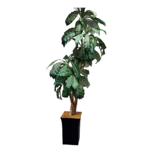Faux Bird Nest Palm + Black Tapered Planter