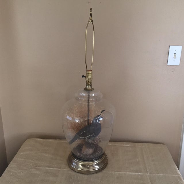 Vintage Quail Taxidermy Lamp Chairish