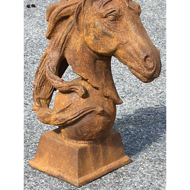 Horse Head Statue in Cast Iron For Sale - Image 6 of 8