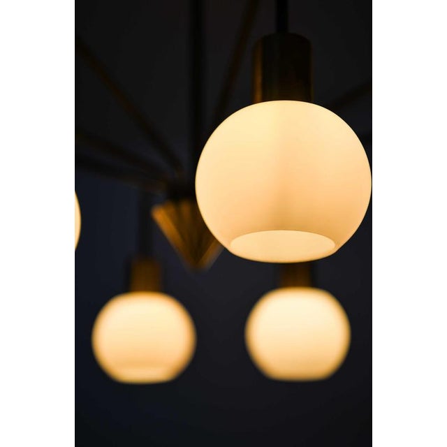 Metal Scandinavian Modern Chandelier in Brass and Opaline Glass, 1950s For Sale - Image 7 of 11