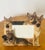 Cute German shepherd dog figural photo frame.