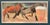 Calle Johansson, Two Horses, 1959, Oil Painting on Panel, Framed For Sale - Image 15 of 15