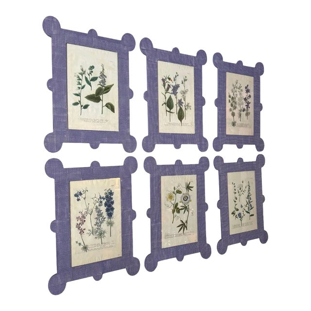 Mid 18th Century Set of 6 Botanicals by Johann Wilhelm Weinmann (1740-60) in Hand Painted Lavender Frames- 2 Now Available For Sale