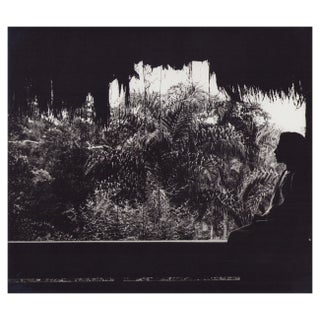 Hanna Seidel, Ecuadorian Jungle, Black and White Photograph, 1960s For Sale