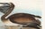 Paper Brown Pelican, Vintage Art Print Reproduction From Birds of America by John James Audubon, 48″ × 32″ For Sale - Image 7 of 9