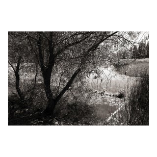 Landscape Digital Archival Print "Pond #2" by Jacques Gael Cressaty 2025 For Sale