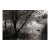 Landscape Digital Archival Print "Pond #2" by Jacques Gael Cressaty 2025 For Sale