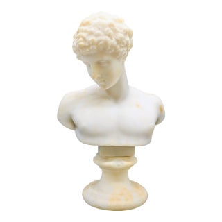 19th Century Grand Tour Alabaster Bust: Capitoline Antinous For Sale