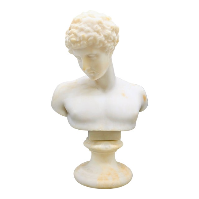 19th Century Grand Tour Alabaster Bust: Capitoline Antinous For Sale