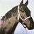 1980s After Andy Warhol, Horse, 1980s, Print For Sale - Image 5 of 5