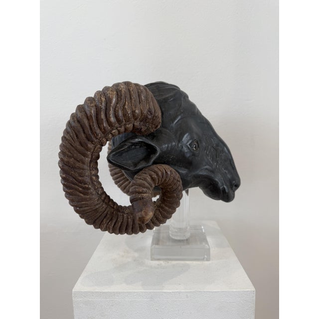 Black Northern European Artist, Ram's Head, 19th Century, Wood For Sale - Image 8 of 14