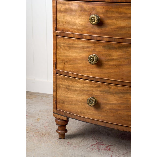 George III Period Mahogany Bowfront Chest With Brass Floral Knobs (C. 1820) For Sale In Charleston - Image 6 of 15