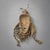 Early 20th Century Dan Poro Ceremonial Mask For Sale - Image 10 of 10