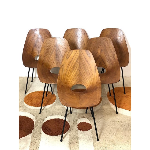 Set of 6 vintage chairs 50s design Vittorio Nobili. The chairs are of Italian manufacture made in the 1950s on the design...
