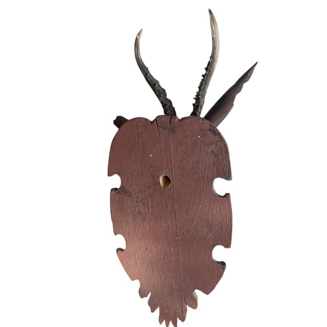 Black Forest Wood Carved Deer Head Trophy Antlers For Sale In Aspen - Image 6 of 6