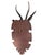 Black Forest Wood Carved Deer Head Trophy Antlers Carving For Sale In Aspen - Image 6 of 6