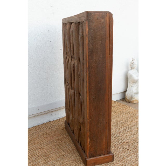 19th Century Carved Medallion Slim Cabinet For Sale - Image 9 of 12