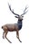 Bronze Twelve-Point Stag Garden Sculpture For Sale