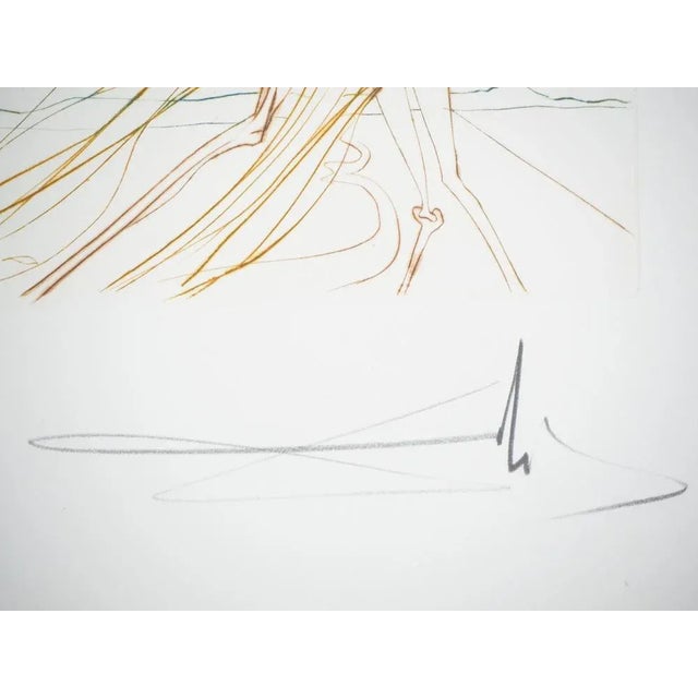 Salvador Dali, The Temptation, Original Engraving For Sale - Image 7 of 8