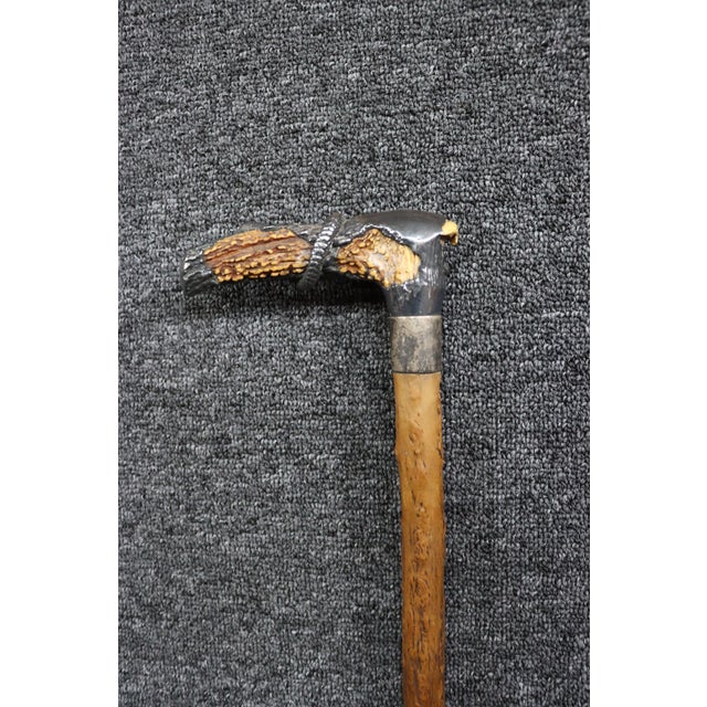 Brown Antique English Country Walking Stick With Deer Antler and Silver Handle For Sale - Image 8 of 16